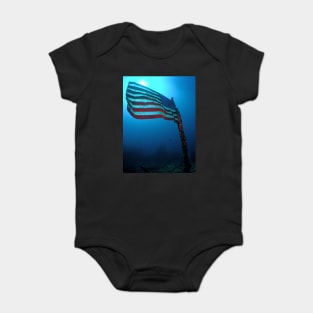 Old Glory on a Sunken Wreck Baby Bodysuit